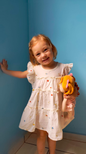 Foto 1 - Modelo Luiza W.C