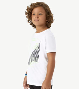 Foto 12 - Modelo Joaquim F. de Faria