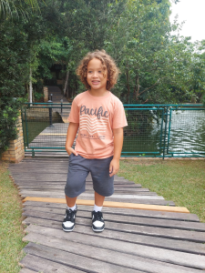 Foto 5 - Modelo Joaquim F. de Faria